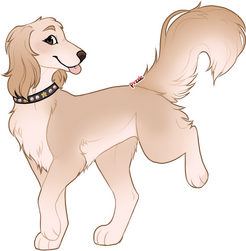 Flatcolor
